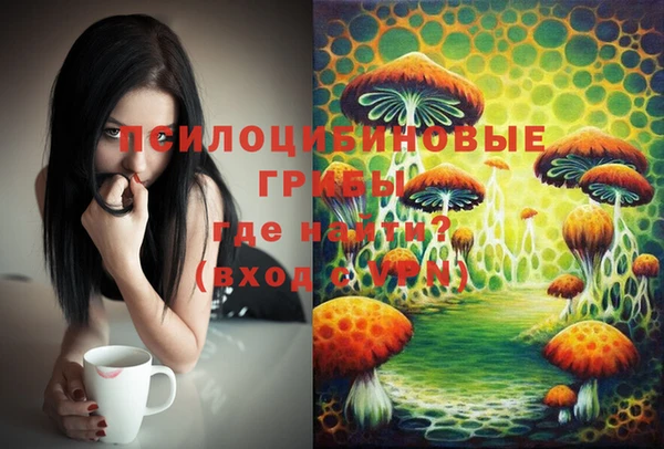 индика Абинск