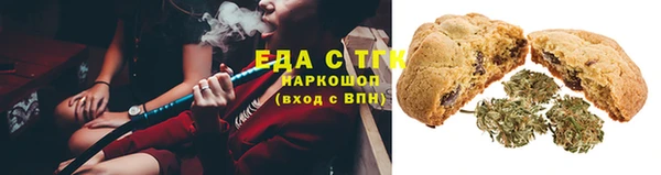 индика Абинск