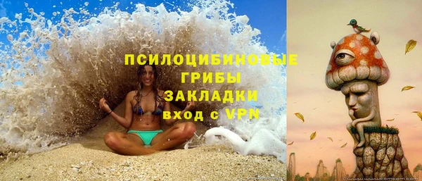 индика Абинск