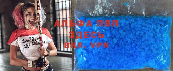 индика Абинск