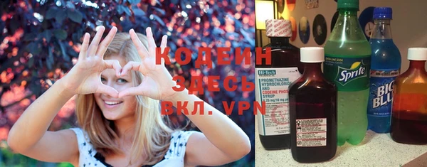 индика Абинск