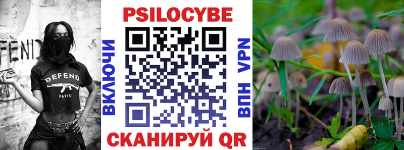 что такое   Гаврилов Посад  OMG вход  Псилоцибиновые грибы Cubensis 